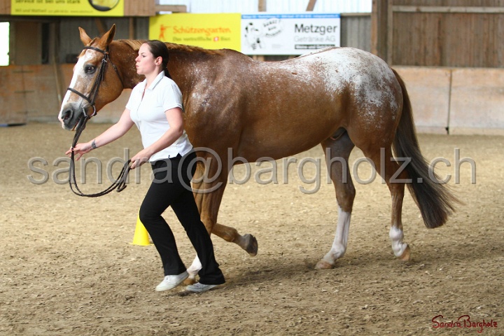 24-ApHC HIH_102.jpg